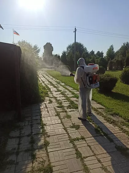 Элемент5